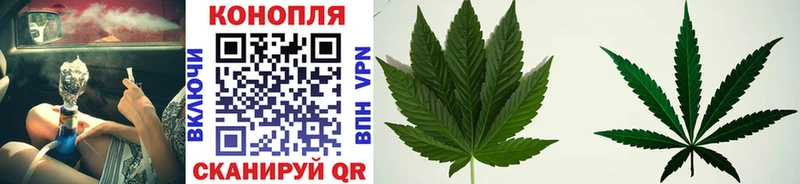 Купить закладку Конопля  LSD-25  Cocaine  А ПВП  АМФЕТАМИН  ГАШИШ  Меф  Александровск-Сахалинский